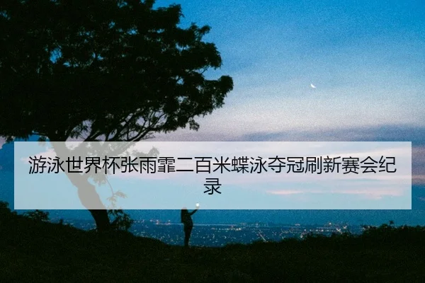 you-yong-shi-jie-bei-zhang-yu-fei-er-bai-mi-die-yong-duo-guan-shua-xin-sai-hui-ji-lu-2-311.jpg