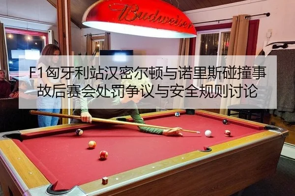 xiong-ya-li-zhan-han-mi-er-dun-yu-nuo-li-si-peng-zhuang-shi-gu-hou-sai-hui-chu-fa-zheng-yi-yu-an-quan-gui-ze-tao-lun-3-168.jpg