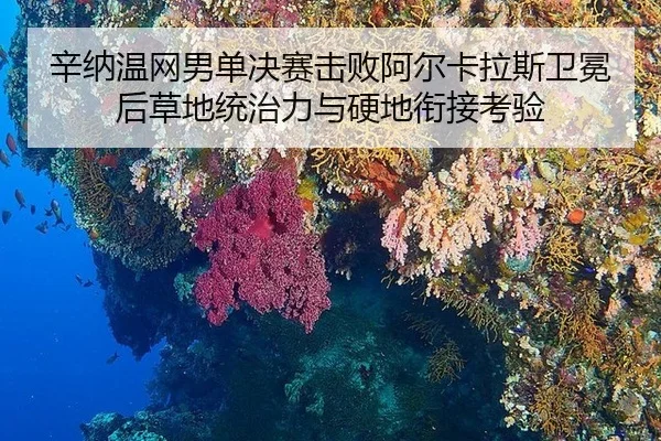 xin-na-wen-wang-nan-dan-jue-sai-ji-bai-a-er-ka-la-si-wei-mian-hou-cao-di-tong-zhi-li-yu-ying-di-xian-jie-kao-yan-3-345.jpg